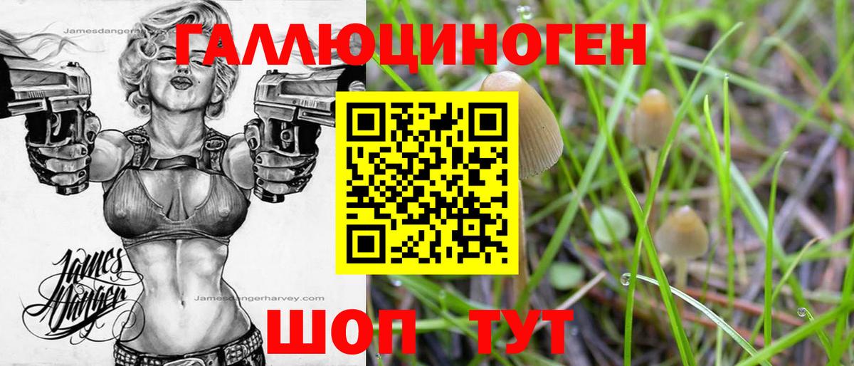 Озёрск  Галлюциногенные грибы GOLDEN TEACHER  Галлюциногенные грибы Cubensis  Вход с VPN 
